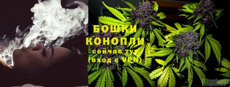 дарнет шоп  omg рабочий сайт  Шишки марихуана LSD WEED  Ногинск 